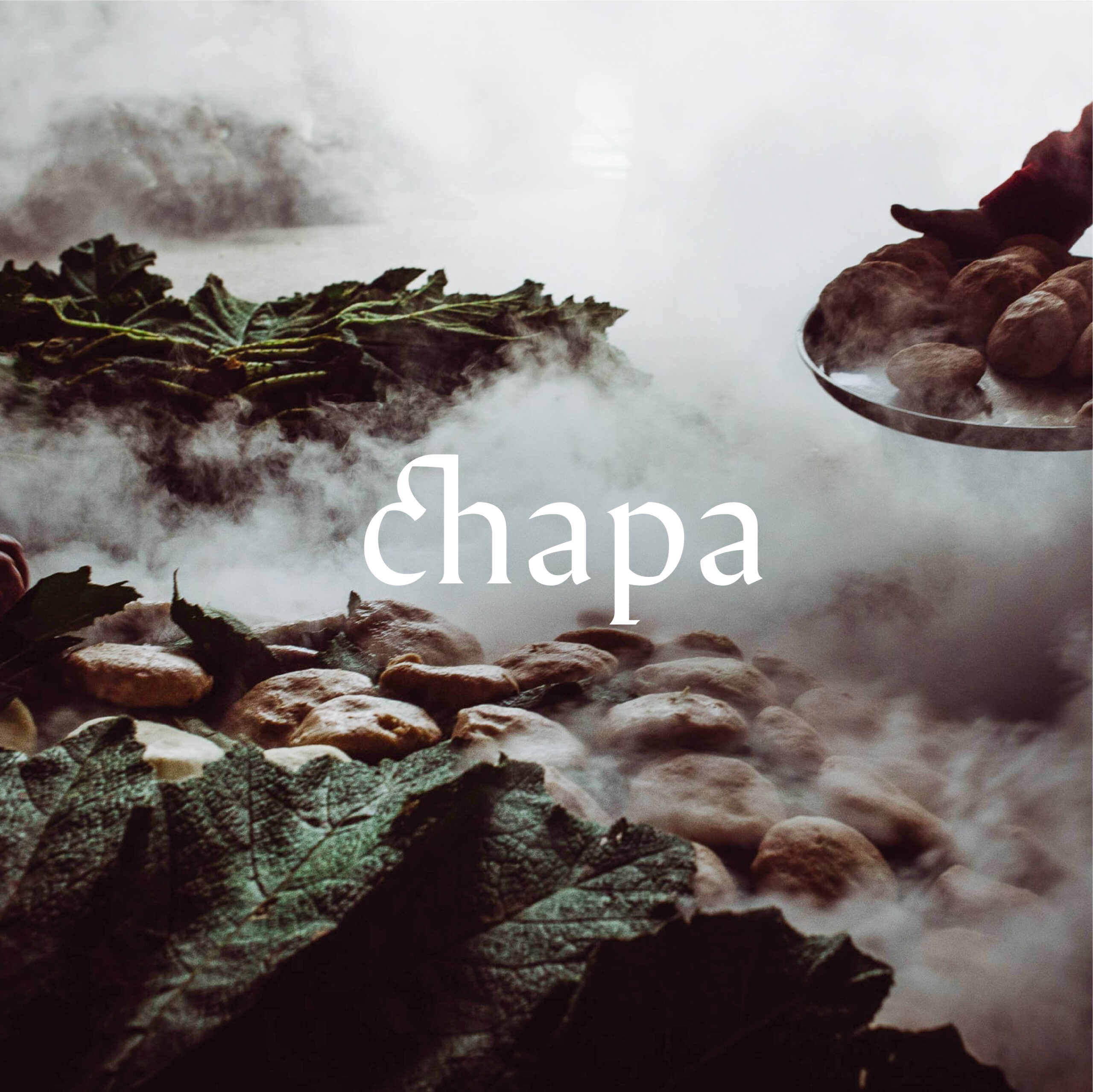 Estudiantes: Edith Muñoz, Javier Contrucci, Andrés Ponce y Vicente Villarroel