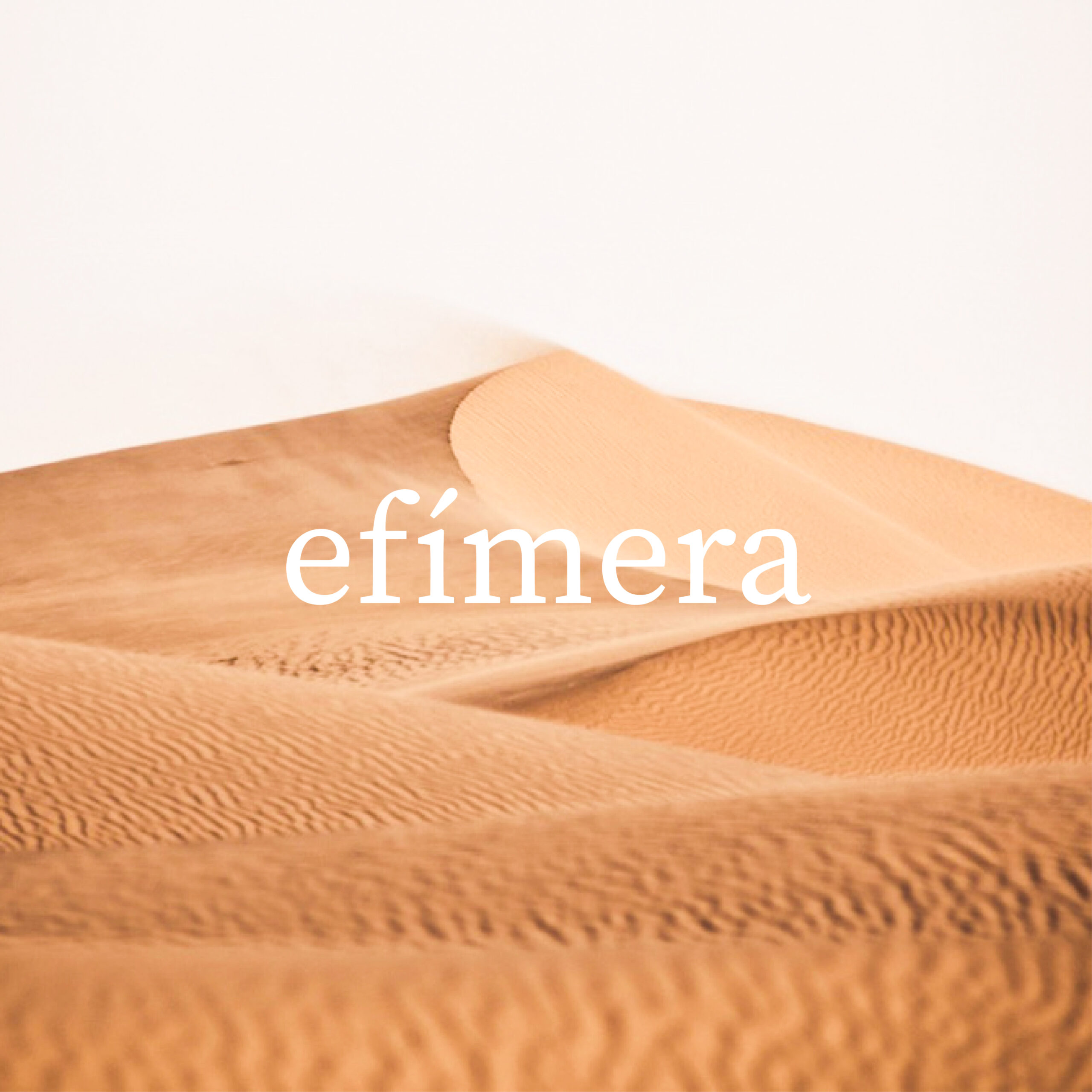 Estudiantes: María Fernanda Carvajal, Valentina Herrero y Antonia Vargas